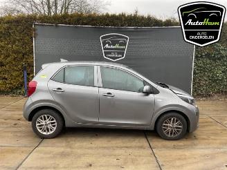 Autoverwertung Kia Picanto Picanto (JA), Hatchback, 2017 1.0 DPI 12V 2022/10