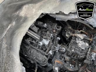 Audi A3 A3 Sportback (8YA), Hatchback 5-drs, 2019 1.0 30 TFSI 12V Mild hybrid picture 14