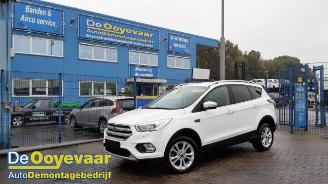 Coche siniestrado Ford Kuga Kuga II (DM2), SUV, 2012 1.5 EcoBoost 16V 150 2017/12