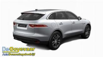 disassembly passenger cars Jaguar F-Pace F-Pace, SUV, 2015 / 2025 2.0 D 180 16V AWD 2016/6