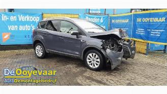 Ford Kuga Kuga I, SUV, 2008 / 2012 2.0 TDCi 16V 4x4 picture 5