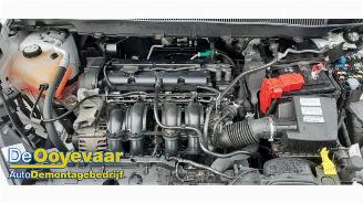 Ford B-Max B-Max (JK8), MPV, 2012 1.4 16V picture 3