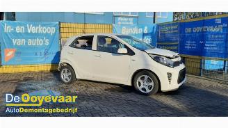Sloopauto Kia Picanto Picanto (JA), Hatchback, 2017 1.0 DPi 12V 2023/11