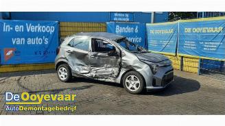 Sloopauto Kia Picanto Picanto (JA), Hatchback, 2017 1.0 DPI 12V 2024/8