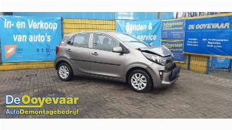 Sloopauto Kia Picanto Picanto (JA), Hatchback, 2017 1.0 12V 2018/12