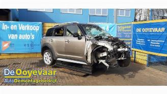 Mini Countryman Countryman (F60), SUV, 2016 1.5 TwinPower Turbo 12V Cooper SE ALL4 picture 4