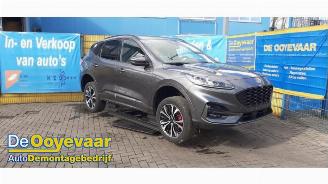 Autoverwertung Ford Kuga Kuga III (DFK), SUV, 2019 2.5 PHEV 16V 2021/8