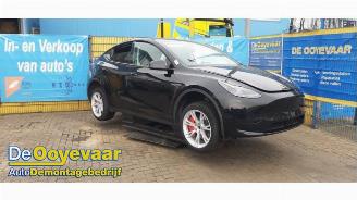  Tesla Model Y Model Y (5YJY), SUV, 2019 / 2025 RWD 2023/5