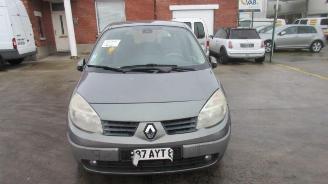 uszkodzony samochody osobowe Renault Scenic TECHNISCHE FICHE!! 2005/4