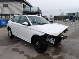 Damaged car Skoda Kamiq  2024/12