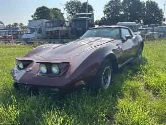 Schadeauto Chevrolet Corvette 5.7 V8 TARGA 1978/1