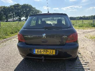 Peugeot 307 1.6-16V NAVTECH picture 18