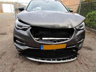 Opel Grandland X 1.2 T Navi Panodak Clima 6-Bak picture 7