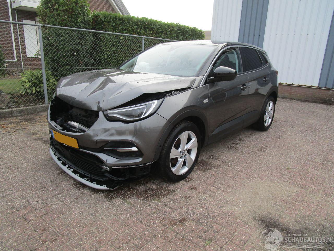 Opel Grandland X 1.2T Camera Navi Panodak 6-Bak