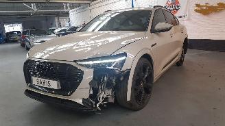 Audi E-tron 50 SUV  AUT ELEKTRISCH  230KW 313PK 4x4 picture 3