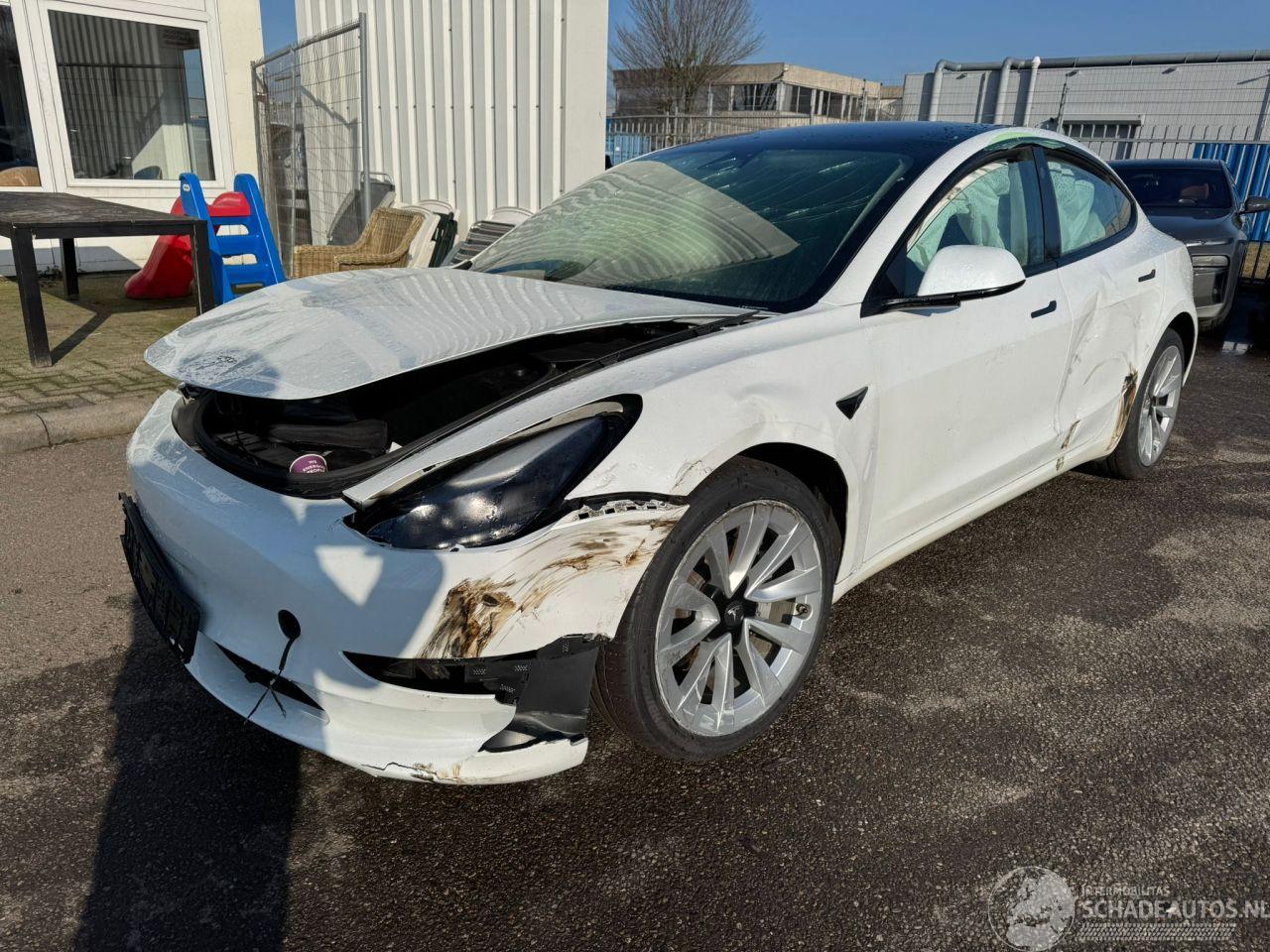 Tesla Model 3 Standard RWD Plus 60 kWh