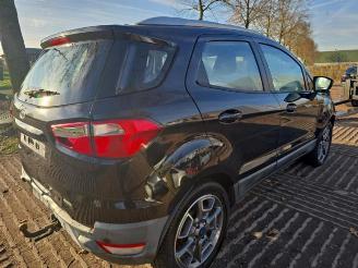 Ford EcoSport EcoSport (JK8), SUV, 2013 1.0 EcoBoost 12V 125 picture 6