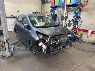 Purkuautot passenger cars Kia Picanto Picanto (JA), Hatchback, 2017 1.0 DPI 12V 2023/8