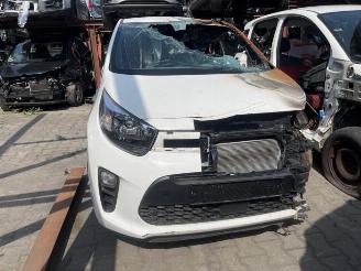 Autoverwertung Kia Picanto Picanto (JA), Hatchback, 2017 1.0 DPI 12V 2024/5