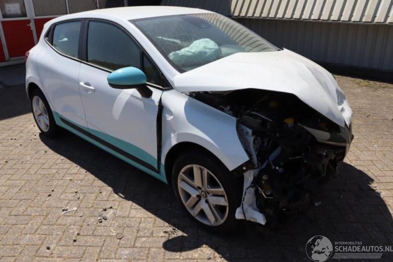 Renault Clio Clio V (RJAB), Hatchback 5-drs, 2019 1.0 TCe 100 12V Bi-Fuel