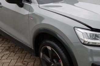 Audi Q2 Q2 (GAB/GAG), SUV, 2016 2.0 TDI 16V 190 Quattro picture 12