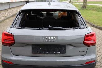 Audi Q2 Q2 (GAB/GAG), SUV, 2016 2.0 TDI 16V 190 Quattro picture 23