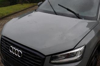 Audi Q2 Q2 (GAB/GAG), SUV, 2016 2.0 TDI 16V 190 Quattro picture 10