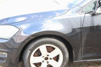 Volkswagen Golf Golf VII (AUA), Hatchback, 2012 / 2021 1.6 TDI 16V picture 17