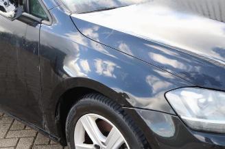 Volkswagen Golf Golf VII (AUA), Hatchback, 2012 / 2021 1.6 TDI 16V picture 23