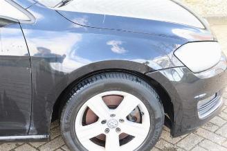 Volkswagen Golf Golf VII (AUA), Hatchback, 2012 / 2021 1.6 TDI 16V picture 25