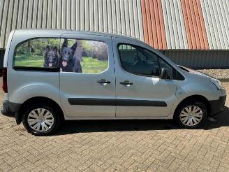 Citroën Berlingo Berlingo, Van, 2008 / 2021 1.6 VTi 95 16V picture 2