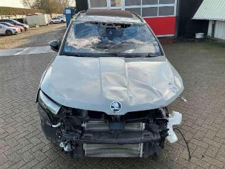 Skoda Karoq Karoq, SUV, 2017 2.0 TSI 4x4 picture 8