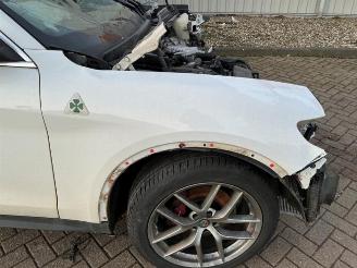 Alfa Romeo Stelvio Stelvio (949), SUV, 2017 2.0 T 16V Q4 picture 24