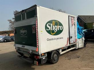 Renault Master Master III (EV/HV/UV/VA/VB/VD/VF/VG/VJ), Chassis-Cabine, 2010 2.3 dCi 165 16V RWD picture 7