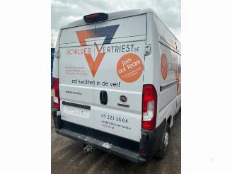 Fiat Ducato Ducato (250), Bus, 2006 2.3 D 130 Multijet Minibus Extralongo picture 23