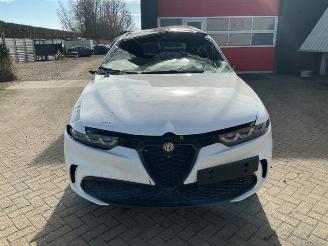Salvage car Alfa Romeo Tonale Tonale, SUV, 2022 1.3 T Hybrid Q4 2025/1