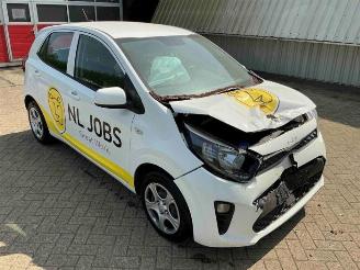 Salvage car Kia Picanto Picanto (JA), Hatchback, 2017 1.0 DPi 12V 2024/10