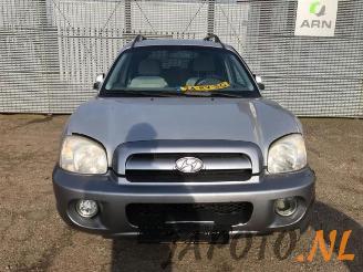 Hyundai Santa Fe Santa Fe I, SUV, 2000 / 2006 2.0 16V 4x2 picture 7