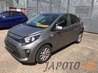 Salvage car Kia Picanto Picanto (JA), Hatchback, 2017 1.2 CVVT 16V 2017/7