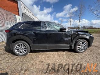 Mazda CX-30 CX-30 (DM), SUV, 2019 2.0 e-SkyActiv-G 150 16V picture 6