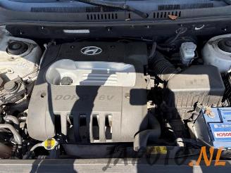 Hyundai Santa Fe Santa Fe I, SUV, 2000 / 2006 2.0 16V 4x2 picture 15