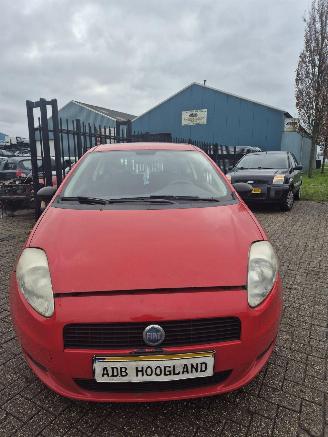 Coche siniestrado Fiat Grande Punto (199) Hatchback 1.2 (199.A.4000(Euro 4)) [48kW] 5-BAK 2008/1