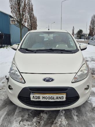 Autoverwertung Ford  II Hatchback 1.2 (169.A.4000(Euro 4; Euro 5)) [51kW] 5-BAK 2010/1