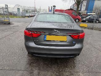 Jaguar XF 2.0D 120KW Autom. Clima Navi Leer Xenon Portfolio NAP picture 4