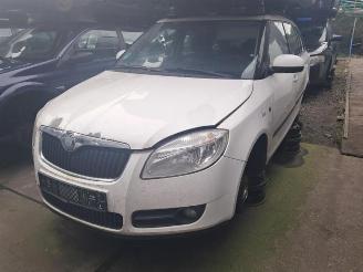 Skoda Fabia Fabia II Combi, Combi 5-drs, 2007 / 2015 1.4 TDI 80 picture 5