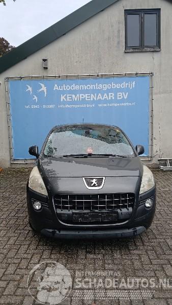 Peugeot 3008 3008 I (0U/HU) MPV 2.0 HDiF 16V, BlueHDi 150 16V (DW10CTED4.FAP(RHE)) =
[110kW]  (06-2009/08-2016)