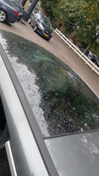 Peugeot 3008 3008 I (0U/HU) MPV 2.0 HDiF 16V, BlueHDi 150 16V (DW10CTED4.FAP(RHE)) =
[110kW]  (06-2009/08-2016) picture 6