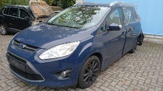 Ford Grand C-Max Grand C-Max (DXA) MPV 1.0 Ti-VCT EcoBoost 12V 125 (M1DA(Euro 5)) [92kW=
]  (10-2012/06-2019) picture 9
