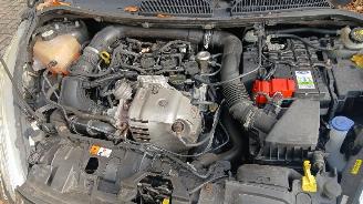 Ford Fiesta Fiesta 6 (JA8) Hatchback 1.0 EcoBoost 12V 100 (SFJC) [74kW]  (01-2013/=
06-2017) picture 6