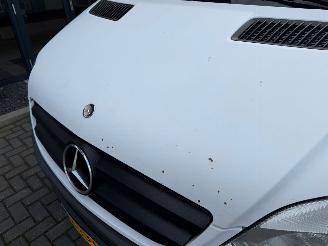 Mercedes Sprinter  picture 12